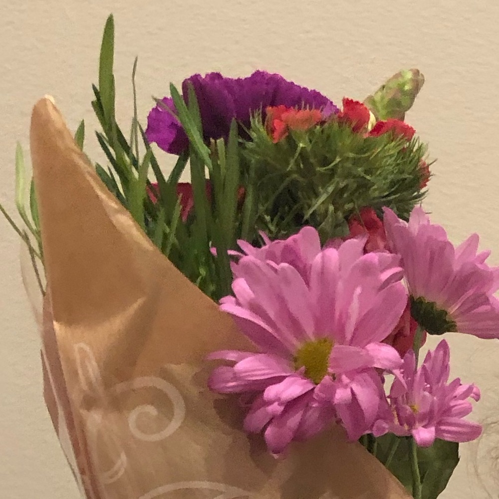 Meet your Posher, Paula